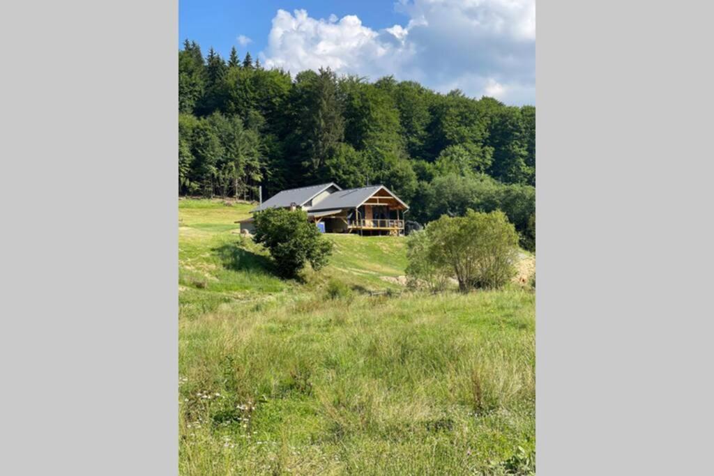Valley House Cabana Cu Priveliste De Vis Sita Buzăului Exterior foto