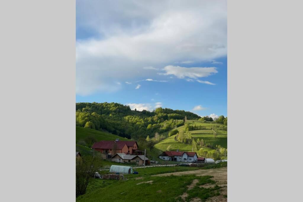 Valley House Cabana Cu Priveliste De Vis Sita Buzăului Exterior foto