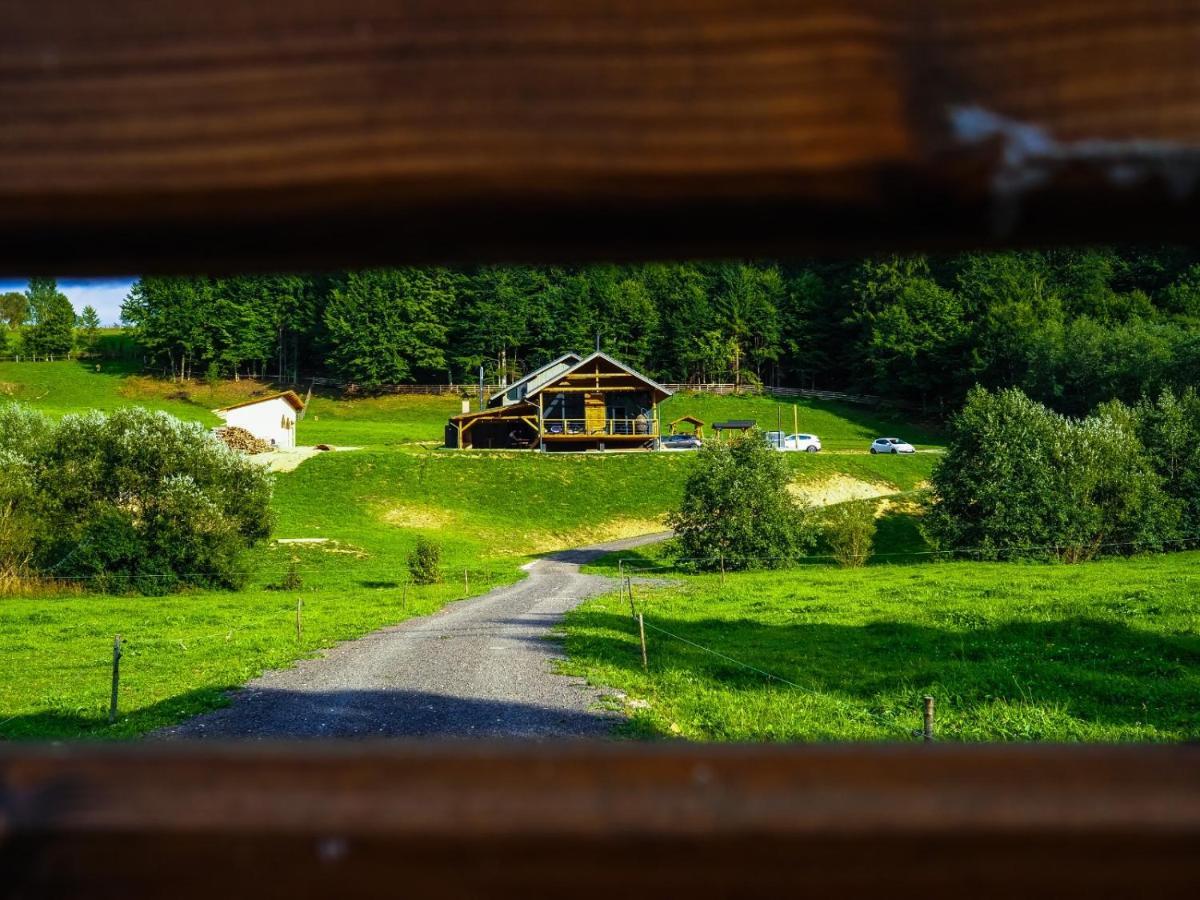 Valley House Cabana Cu Priveliste De Vis Sita Buzăului Exterior foto